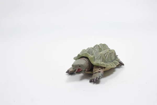 Scale Toy Turtle Isolated White Background — Stock Photo, Image