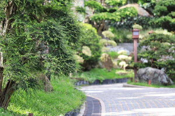 Western Lotus Pond Garden Chi Lin Nunnery Hall Juni 2020 Stockfoto