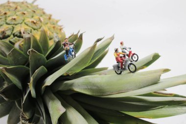 Mini figürlerin eğlencesi ananasın üstünde motosiklet sürmek 