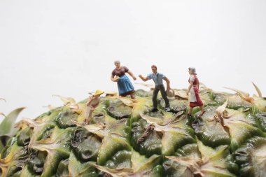 Ananas tarlalarında hasat yapan çiftçi. Ananas tarlalarında çalışanlar