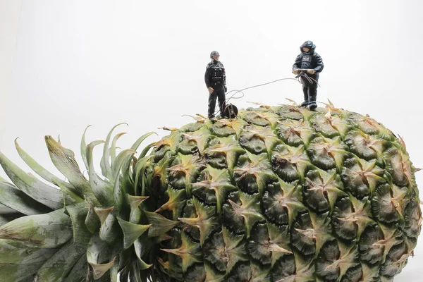 Une Mini Police Porte Costume Élimination Des Bombes Sur Ananas — Photo