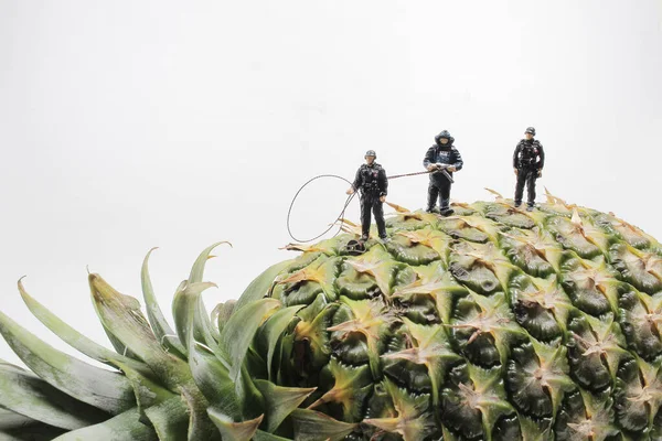 a mini police wear the Bomb Disposal Suit on the Pineapple
