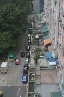 Forbes Caddesi 'ndeki ağaç duvar, Kennedy Town, Hong Kong 24 Haziran 2020