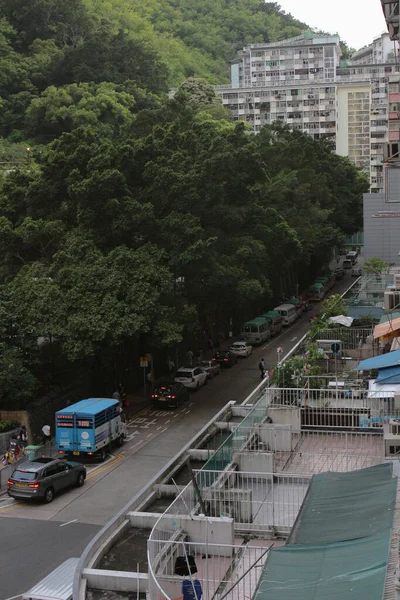 Tree Wall Forbes Street Kennedy Town Hong Kong June 2020 — стоковое фото