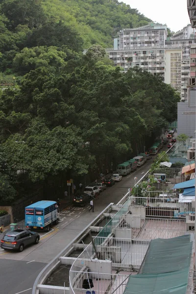 Pared Del Árbol Forbes Street Kennedy Town Hong Kong Junio — Foto de Stock