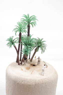  Golfçü figürleri hindistan ceviziyle golf oynuyor.