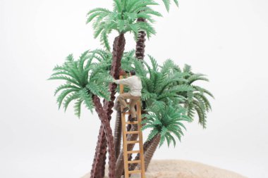 Mini bir figür mini ağaçta hindistan cevizi topluyor.