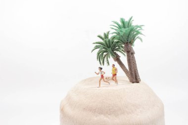 Taze yeşil hindistan cevizi meyvesinin mini koşucusu.