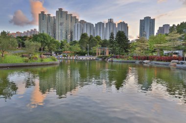 Hang Hau Man Kuk Lane Parkı, sai kung 28 Haziran 2020