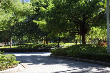 Hong Kong Velodrome Parkı, Tko 28 Temmuz 2020