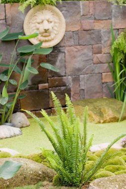 24 Mart 2007 Hong Kong Çiçek Fuarı 'nda çiçek ve bitkiler sergilendi 