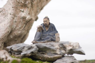 24 Mart 2007 Hong Kong Çiçek Fuarı 'nda çiçek ve bitkiler sergilendi 