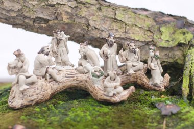 24 Mart 2007 Hong Kong Çiçek Fuarı 'nda çiçek ve bitkiler sergilendi 