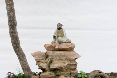 24 Mart 2007 Hong Kong Çiçek Fuarı 'nda çiçek ve bitkiler sergilendi 