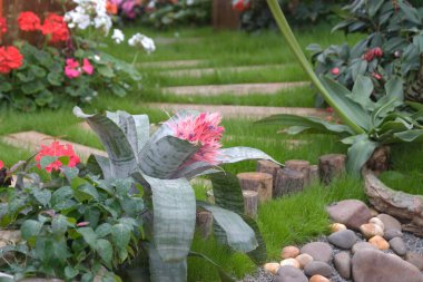 24 Mart 2007 Hong Kong Çiçek Fuarı 'nda çiçek ve bitkiler sergilendi 