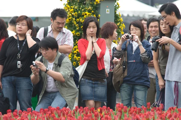 Március 2007 Virágok Növények Jelenik Meg Hong Kong Virágkiállítás — Stock Fotó