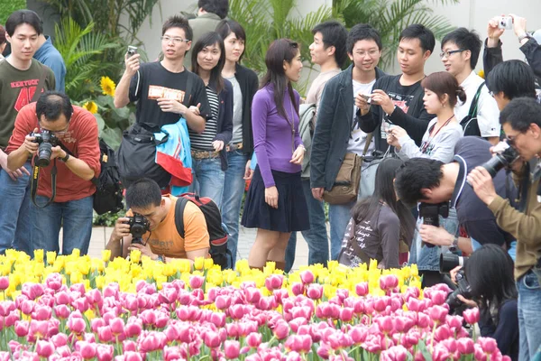 Március 2007 Virágok Növények Jelenik Meg Hong Kong Virágkiállítás — Stock Fotó