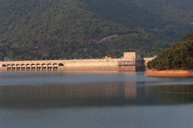 3 Mart 2007 'de Hong Kong' daki Tai Tam Country Park 'ında. 