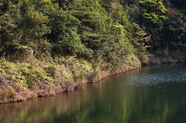 3 Mart 2007 'de Hong Kong' daki Tai Tam Country Park 'ında. 