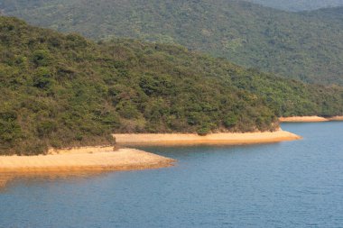 3 Mart 2007 'de Hong Kong' daki Tai Tam Country Park 'ında. 