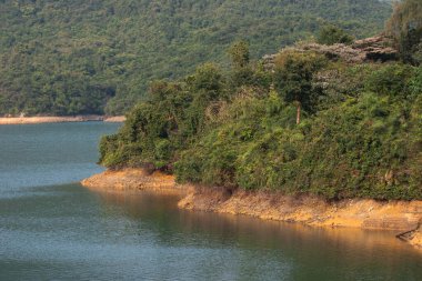 3 Mart 2007 'de Hong Kong' daki Tai Tam Country Park 'ında. 