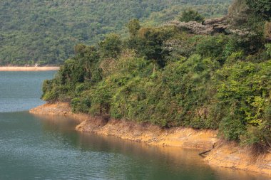 3 Mart 2007 'de Hong Kong' daki Tai Tam Country Park 'ında. 