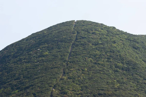 Maret 2007 Taman Nasional Tai Tam Hong Kong — Stok Foto