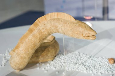 30 Mart 2007 'de galeride izole edilmiş ahşap bir deniz hayvanı. 