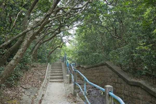 Απριλίου 2007 Kam Shan Country Park Στο Χονγκ Κονγκ — Φωτογραφία Αρχείου