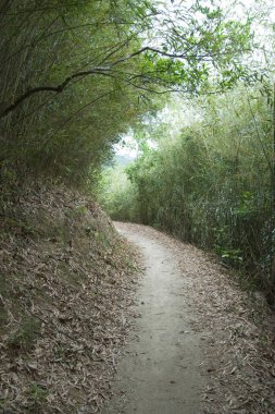 14 Nisan 2007 Kam Shan Country Park, Hong Kong 