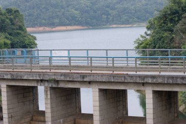 Kowloon Byewash Reservoir, Kam Shan Country Park 14 Nisan 2007