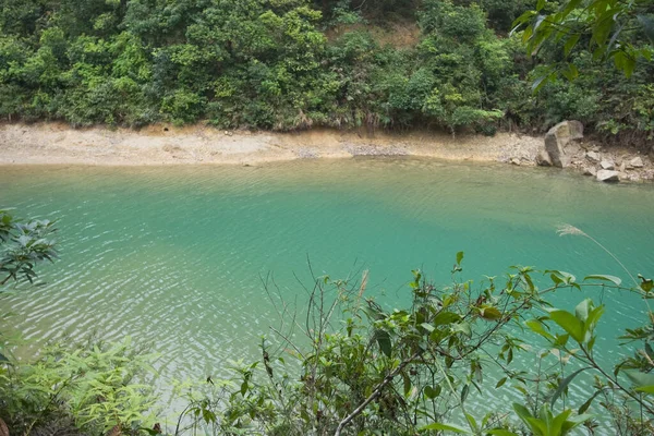 Abril 2007 Kam Shan Country Park Hong Kong — Fotografia de Stock