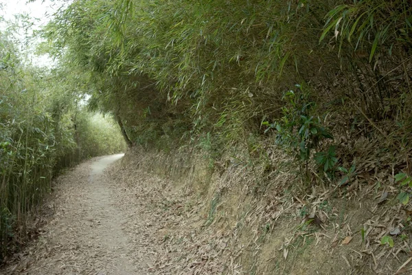 April 2007 Kam Shan Country Park Hongkong — Stockfoto