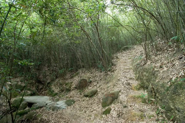 2007年4月14日香港锦山郊野公园 — 图库照片