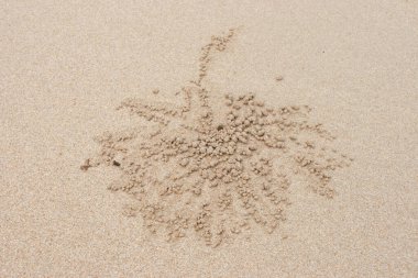 16 Haziran 2006 Hong Kong 'daki Shek O Country Park manzarası