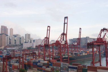 18 Haziran 2007, Hong Kong 'daki Kwai tsing bölgesi. 