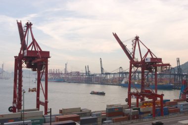 18 Haziran 2007, Hong Kong 'daki Kwai tsing bölgesi. 