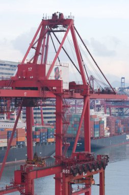 18 Haziran 2007, Hong Kong 'daki Kwai tsing bölgesi. 