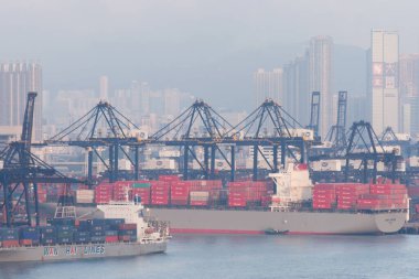 18 Haziran 2007, Hong Kong 'daki Kwai tsing bölgesi. 