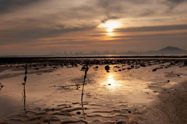 19 Haziran 2007, Yuen Long bölgesi, Hong Kong 