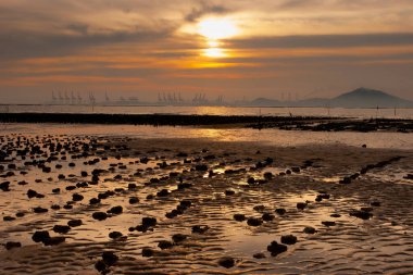 19 Haziran 2007, Yuen Long bölgesi, Hong Kong 