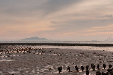 19 Haziran 2007, Yuen Long bölgesi, Hong Kong 
