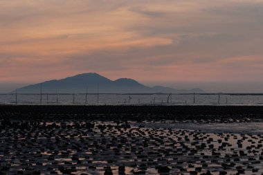 19 Haziran 2007, Yuen Long bölgesi, Hong Kong 