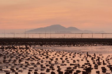 19 Haziran 2007, Yuen Long bölgesi, Hong Kong 