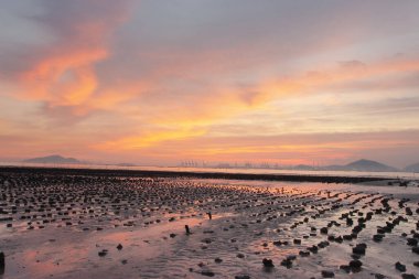 19 Haziran 2007, Yuen Long bölgesi, Hong Kong 