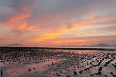 19 Haziran 2007, Yuen Long bölgesi, Hong Kong 