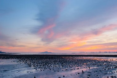 19 Haziran 2007, Yuen Long bölgesi, Hong Kong 