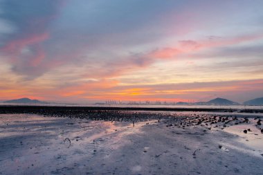 19 Haziran 2007, Yuen Long bölgesi, Hong Kong 