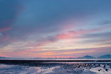 19 Haziran 2007, Yuen Long bölgesi, Hong Kong 