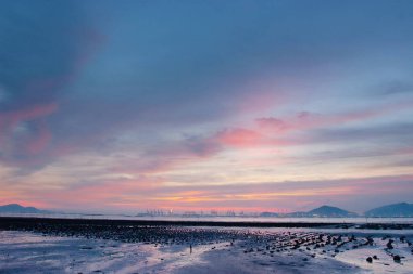 19 Haziran 2007, Yuen Long bölgesi, Hong Kong 